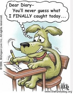 dogs diary