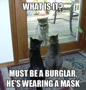 he-must-be-a-burglar