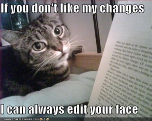 funny-cat-captions3